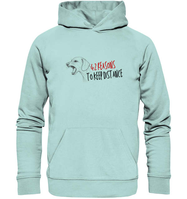front-organic-basic-hoodie-bce3df-1116x-1.png