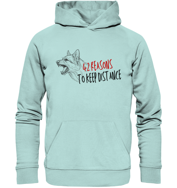 front-organic-basic-hoodie-bce3df-1116x.png